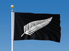 New Zealand Silver Fern Flag 0.9m x 1.5m