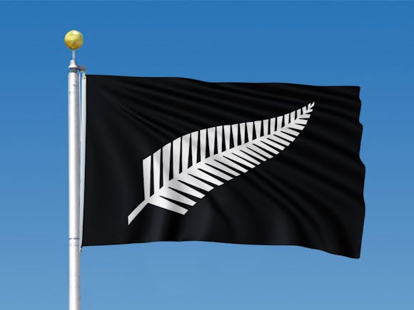 New Zealand Silver Fern Flag 0.9m x 1.5m