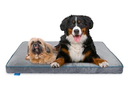 Fetch Orthopedic Memory Foam Dog Bed 12cm Thick XX-Large