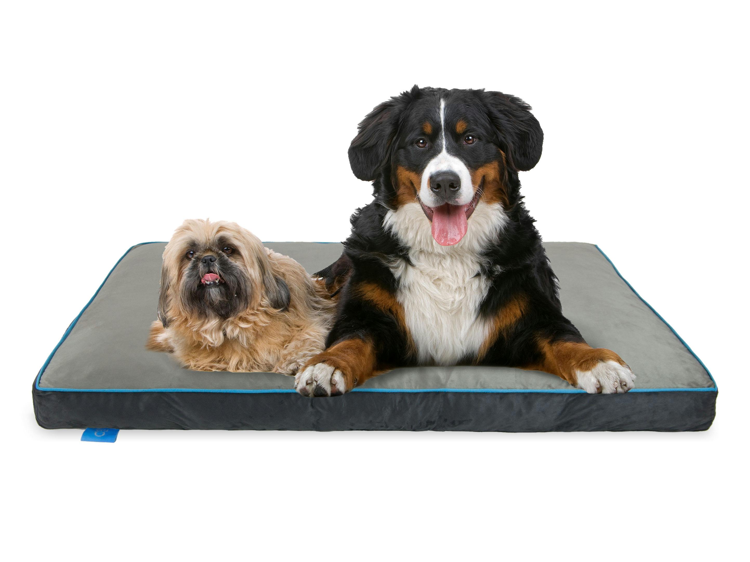 thick memory foam dog bed