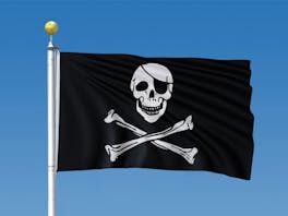 Jolly Roger Pirate Flag 0.9m x 1.5m