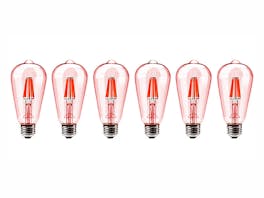 Festoon Lights Red Filament Replacement Bulbs - 6 Pack