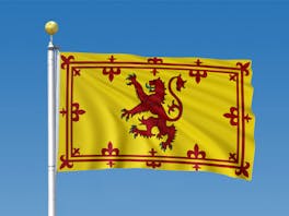 Scotland Lion Rampant Flag 0.9m x 1.5m