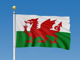 Wales Flag 0.9m x 1.5m