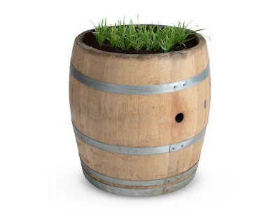 Oak Trees New French Oak Wine Barrels Oak Wine Barrel Three