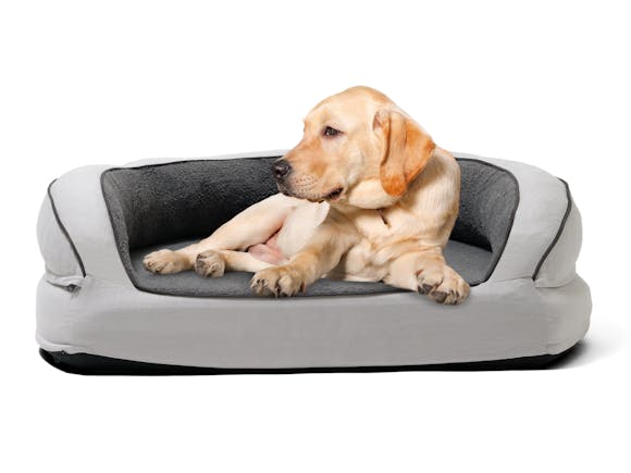 Fetch Orthopedic Memory Foam Sofa Dog Bed Large 