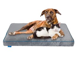 Fetch Orthopedic Memory Foam Dog Bed 12cm Thick X-Large