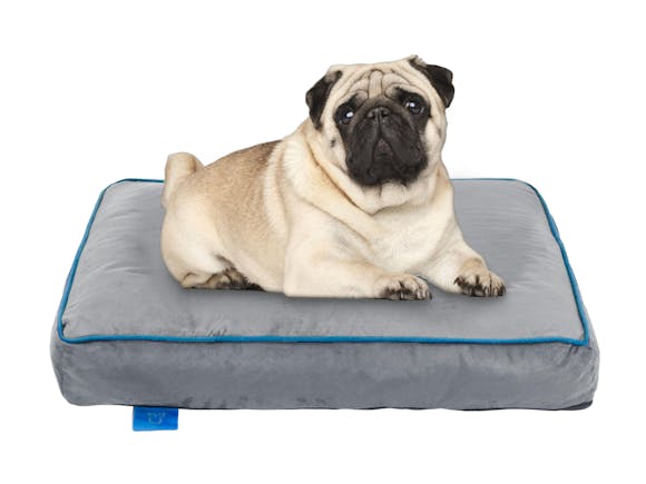 Fetch Orthopedic Memory Foam Dog Bed 12cm Thick Small 