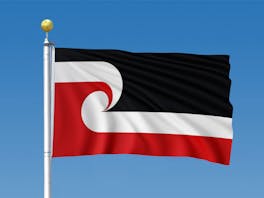 Maori Flag 0.9m x 1.5m