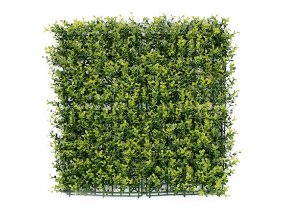 Artificial Hedge Wall Boxwood Spring Growth 3m²