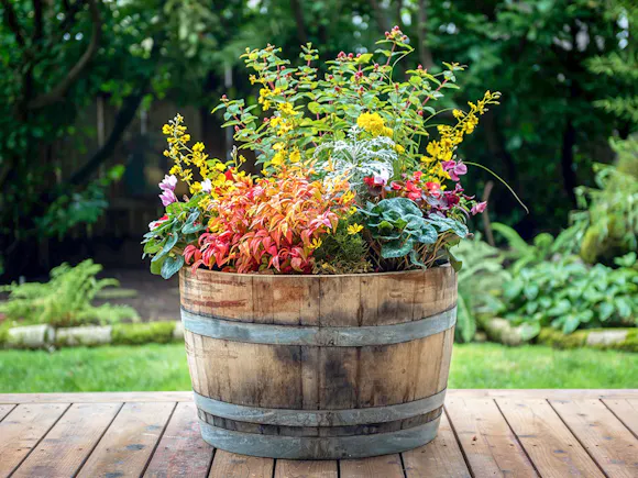 Oak Wine Barrel Half - Set of 2