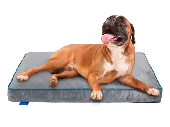 Fetch Orthopedic Memory Foam Dog Bed 12cm Thick Medium/Large