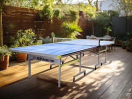 Double Fish Outdoor Table Tennis Table