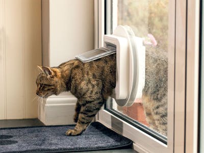 Cat Door That Only Lets Your Cat In SureFlap Microchip Cat Door