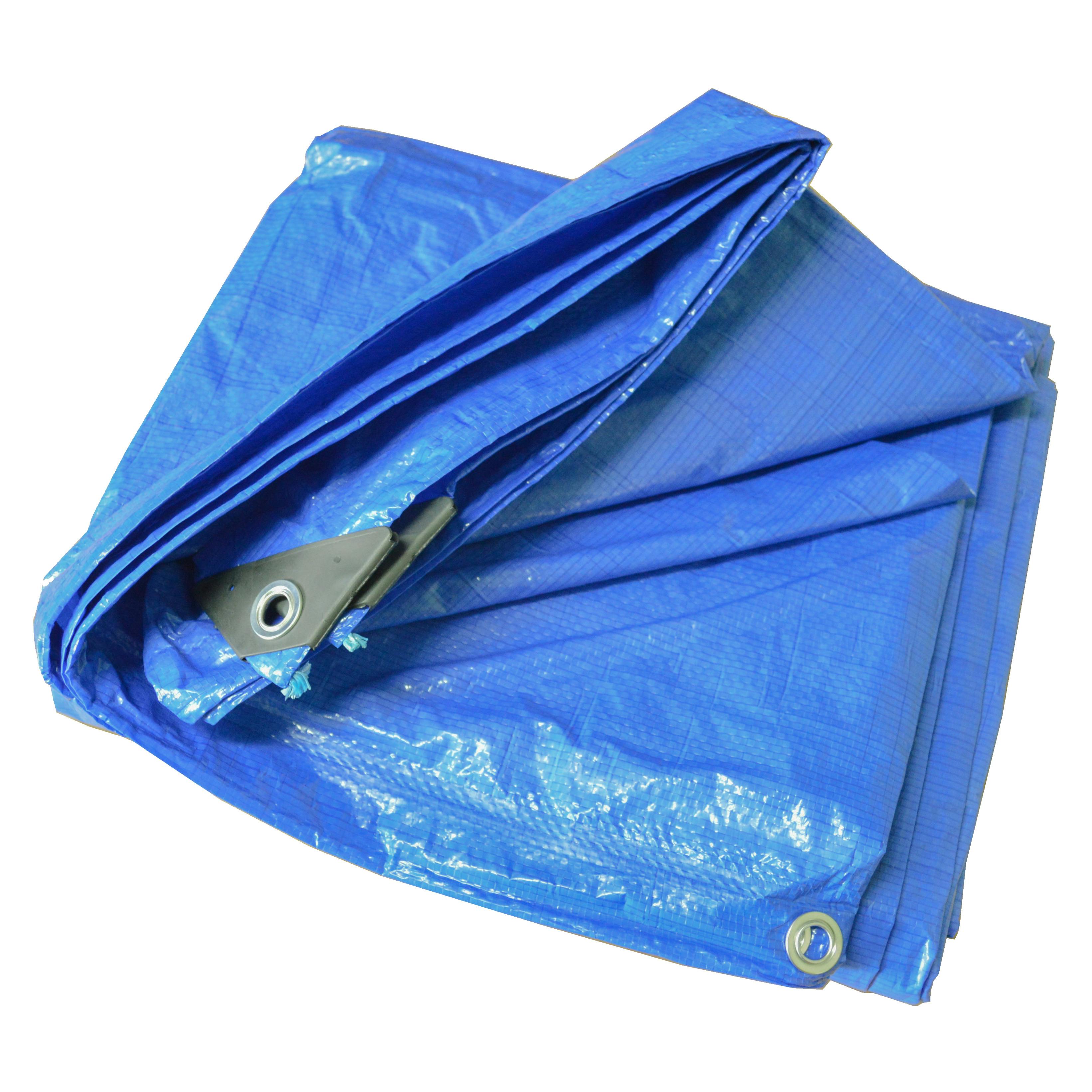 TARPtoTARP × solworks TARP GLASS TARPtoTARP – タグ 