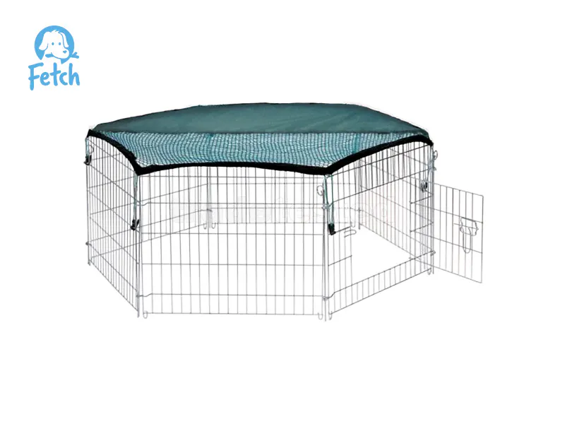 you & me exercise pen