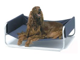 Raised Dog Bed - Large