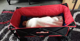 Mighty Carts Folding Beach Cart Black — photo by Rosemaryann