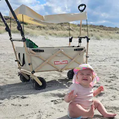 Mighty Carts Safari Beach Cart with Awning — photo by Adi180