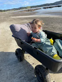 Mighty Carts Garden Cart Heavy Duty 140L — photo by Karen