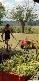 Mighty Carts Steel Utility Cart 360kg — photo by Jordan's Nana