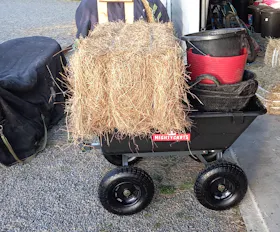 Mighty Carts Garden Cart Heavy Duty 170L — photo by Rebecca