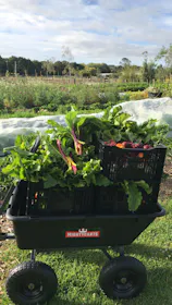 Mighty Carts Garden Cart Heavy Duty 170L — photo by G