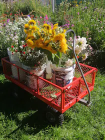 Mighty Carts Steel Utility Cart 360kg — photo by Pippa