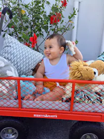 Mighty Carts Steel Utility Cart 360kg — photo by Gem