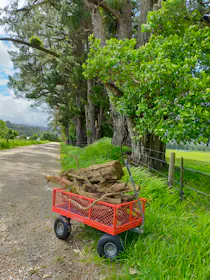 Mighty Carts Steel Utility Cart 360kg — photo by Luna