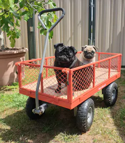 Mighty Carts Steel Utility Cart 360kg — photo by Dunn Family Grumble